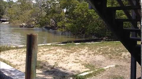 Ted Smallwood's Store, Chocoloskee, Florida
