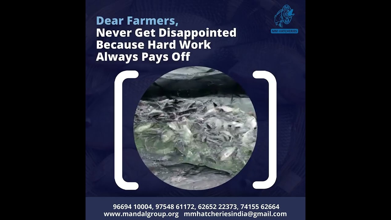 Happy Farming | Monosex Tilapia Seeds | Fish Seed Supplier | MM Hatcheries | Quality Seeds