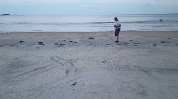 Arrma Vortex beach run