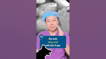 Bác sĩ Tú Dung GIẬT MÌNH cô gái Tây Nguyên THỦNG MŨI vì M.Ổ CHUNG VỚI C.H.Ó ở SPA CHUI