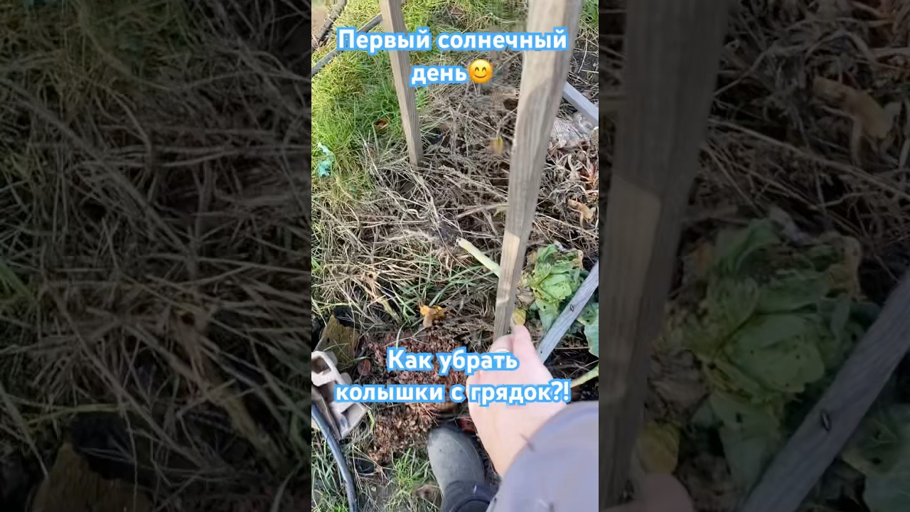 Убираю огород легко))) 