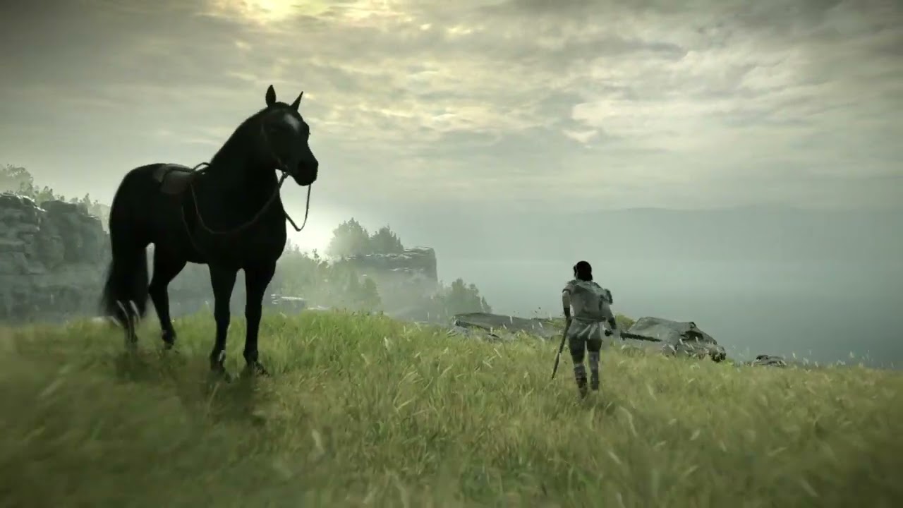 SHADOW OF THE COLOSSUS EXPLORING THE MAP