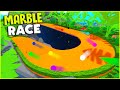 MARBLE Race! DK Mountain from Mario Kart! - Marble World Gameplay