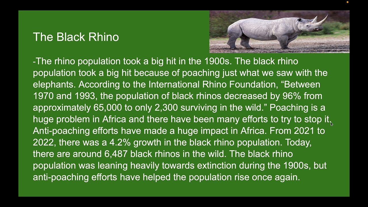 African Forest Elephant/Black Rhino population - Jake Pethtel