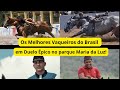Renan Tobias x Brocoió Júnior: A Grande Disputa no Parque Maria da Luz | Pixbet Portal 2025