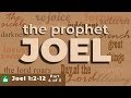 The Book of Joel Explained | Joel 1:2-12 | Part 4 of 5 | Bible Study