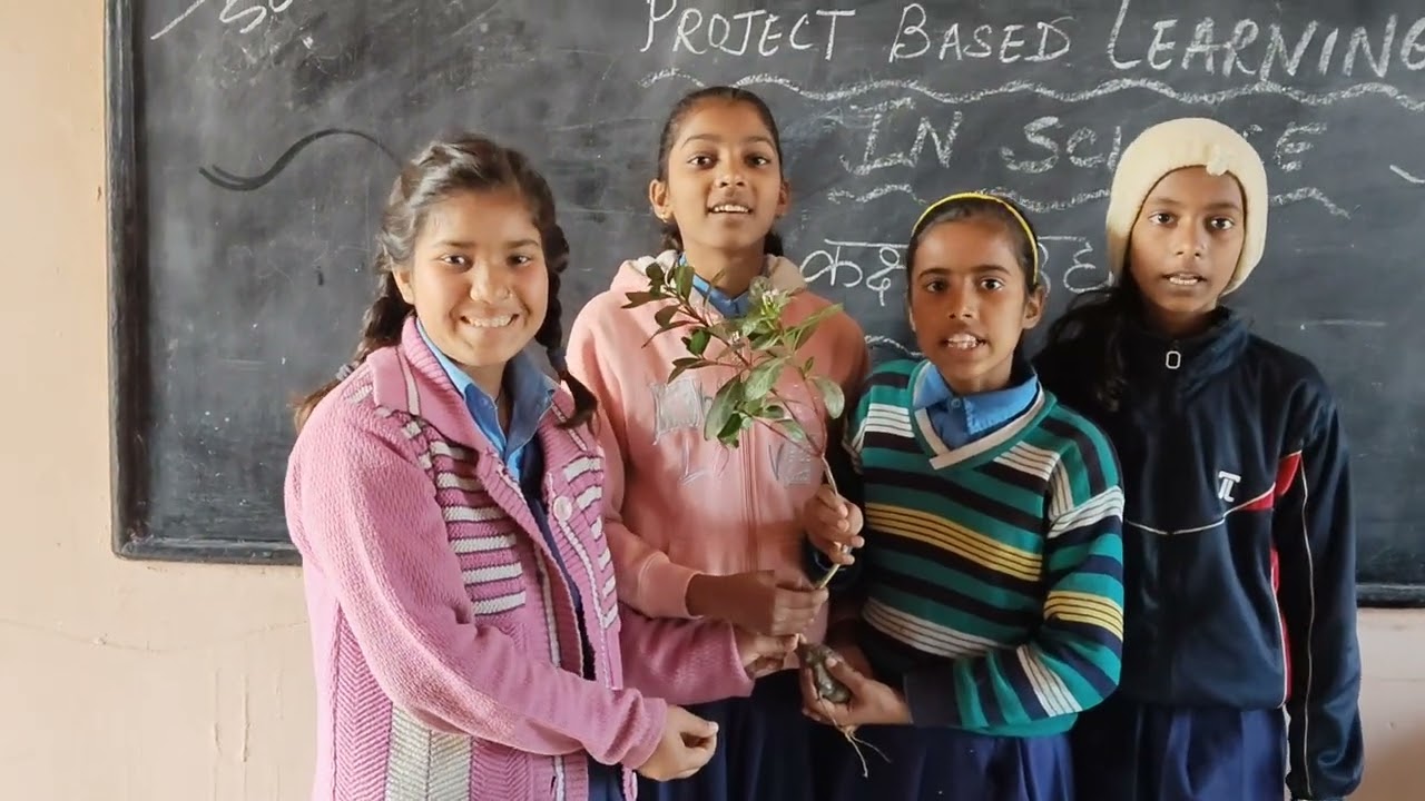 Project based learning in science (कक्षा उद्यान)class 6 MS Nagpura Simri Buxar 