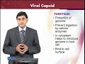 BT601 Virology Lecture No 34