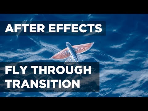 After Effects Fly Through Transition (Advanced Zoom Transition)