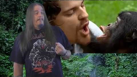 Systematic Classification of Life - ep44 Hominini