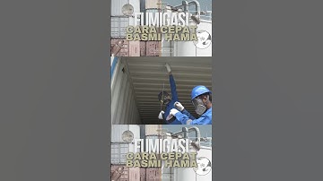 Fumigasi cara tercepat menuntaskan masalah hama gudang, cek selengkapnya di channel youtube ETOS.