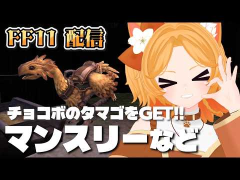 #207【FF11】タマゴを預けてマンスリークエストやる【Odin】