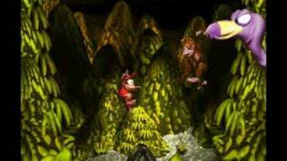 Donkey Kong Country - Necky's Revenge