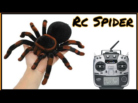 Remote Control Spider | Tarantula | Remote control toy