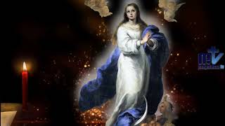 Oración a María | Día 8 | Magnificat.tv