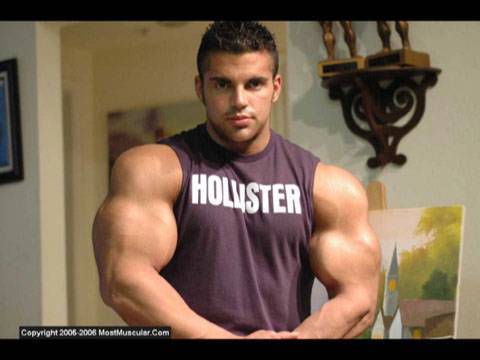 muscular endurance Nov 2 2009 - Bodybuilding muscle photos