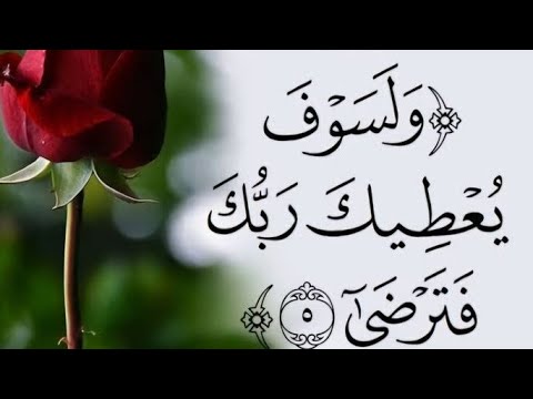 بدأت قناة يوميات ام لولو بث ا مباشر ا