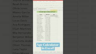 Age Calculator in Excel! #excel #spreadsheetmagic #exceltips #dataextractor