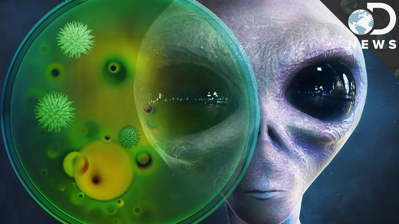 Is there alien life out there? Scientists find SHOCK clue about extraterrestrial life form