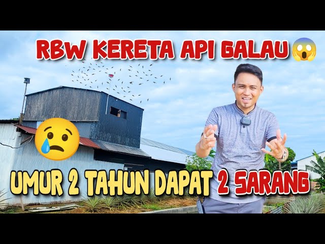 RBW KERETA API GALAU😱 Umur 2 tahun dapat 2 sarang. (5x20 1 Lantai) class=