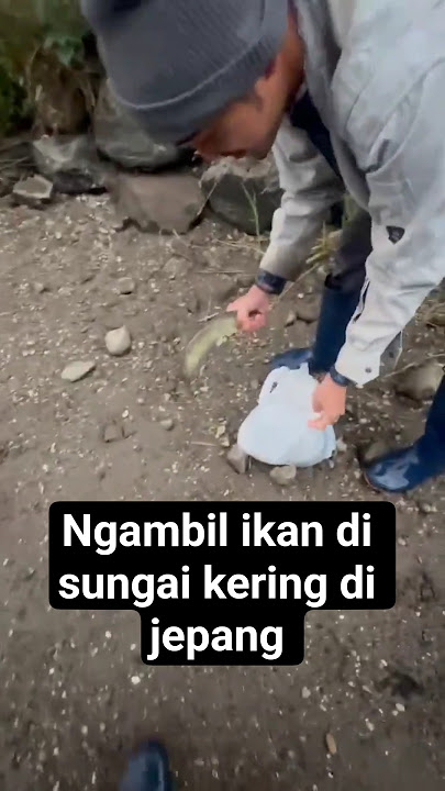 Ngambil ikan di sungai jepang ❗❗