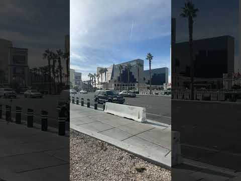 Las Vegas Lowdown: Celebrate Cinco De Mayo at Container Park, The LINQ or MINT Tavern