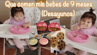 Que le doy de comer a mis bebes de 9 meses?? || primera parte (desayunos y snacks)