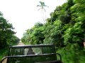 TONGA Eua Direction La Plage En Stop TONGA Eua Direction La Plage En Stop