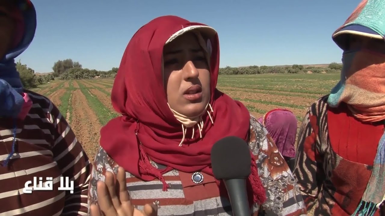 bila kinaa | عاملات الفلاحة  يشتغلن دأجور زهيدة والنقل غير المؤمن