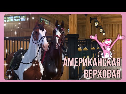 Видео: АМЕРИКАНСКАЯ ВЕРХОВАЯ подробный обзор | Star Stable