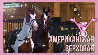 АМЕРИКАНСКАЯ ВЕРХОВАЯ подробный обзор | Star Stable