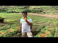 This CARROT HARVEST IS INSANE! This place looks almost UNREAL...| Agribusiness How It Works