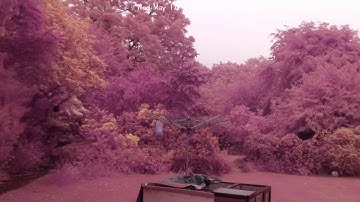 ZeroView IRcut in action