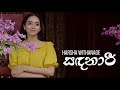 Sandanari (Husme Samada) - Harsha Withanage | lyrics Video