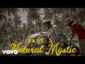 Alborosie, Ky-Mani Marley - Journey To Zion Pt. 3 'Natural Mystic' (MV)