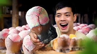 Trứng khủng long ăn được vì sao lại bị cấm tại philippines?