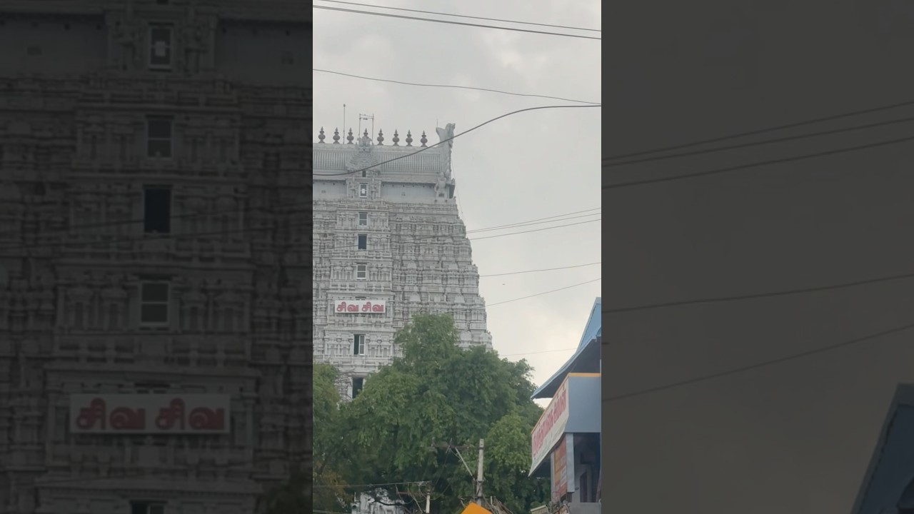 திருவண்ணாமலை தரிசனம்| Full vlog link in comment