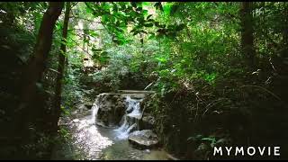 "Nature, to be commanded, must be obeyed."|  Francis Bacon | navihari