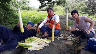 คนไทยในเกาหลี หาเก็บหน่อไม้ หลายคัก หลายแหน่พี่น้อง