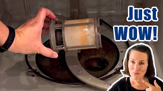 Easiest Way To Clean A Dishwasher Filter (With Vinegar)
