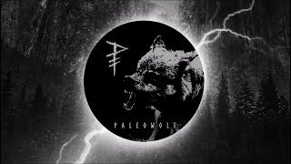 Video thumbnail of "Paleowolf - Age of the Wolf (FREE compilation album) trailer"