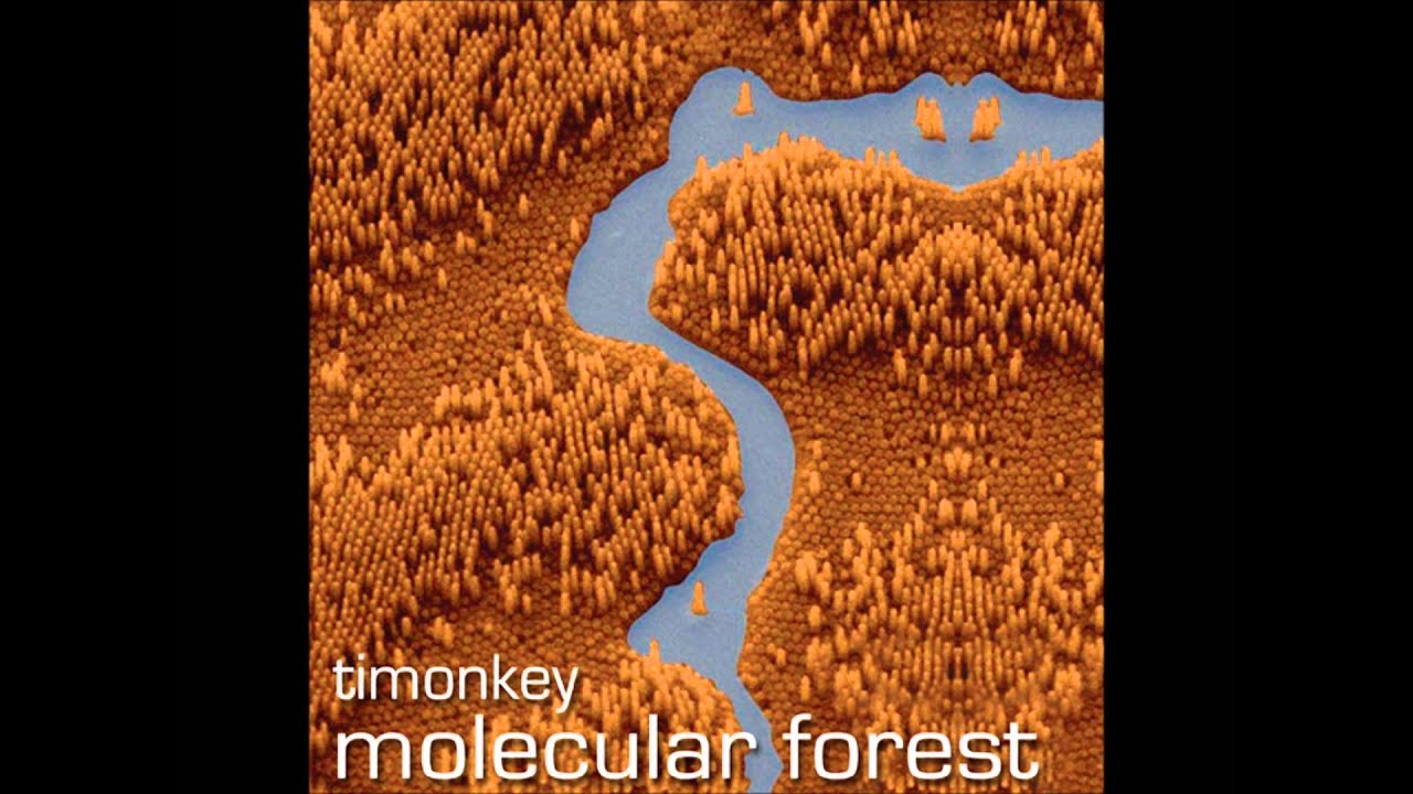 Watch Timonkey - Game Over on YouTube Watch Timonkey - Game Over on YouTube