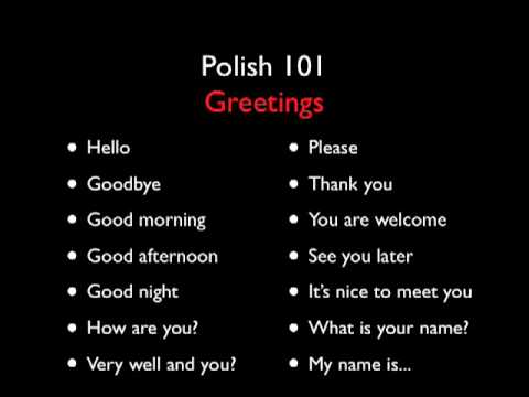 What are some common Polish words and phrases and their meanings?