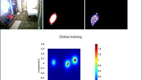 online svm for fall detection