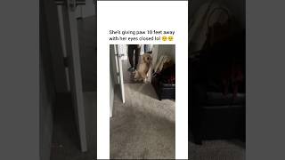 There she issssss. We’re here for you miss birdie!