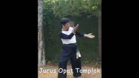 10 Jurus Dasar Nampon Trirasa