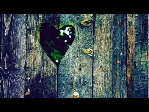 عاصي الحلاني زغيري الدني