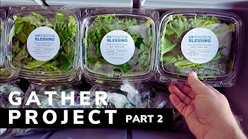 Revolutionary Hydroponic Towers Feed Hungry Communities SAME DAY 🌱