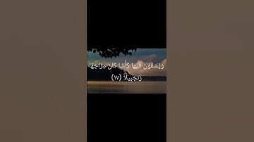 سورة الانسان ١٧ - ٢٢ | محمد اللحيدان