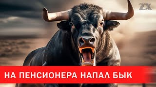 На пенсионера напал бык: мужчина в реанимации | Зона Х